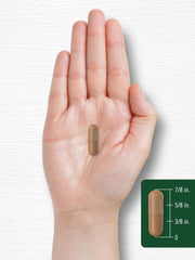 Lifestyle image featuring dietary supplements and healthy foods