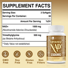 Closeup of LIGUSTERI NAD+ TMG liposome capsule indicating high bioavailability.