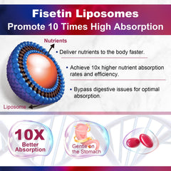 Fisetin supplement ingredients: Quercetin, Resveratrol, Green Tea Extract