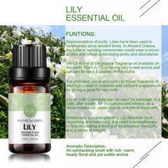 Flowers petals of Lilium Auratum used to extract Lily essential oil