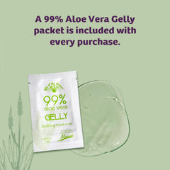 Back view of Lily of the Desert Aloe Vera Herbal Detox Formula 32 oz bottle