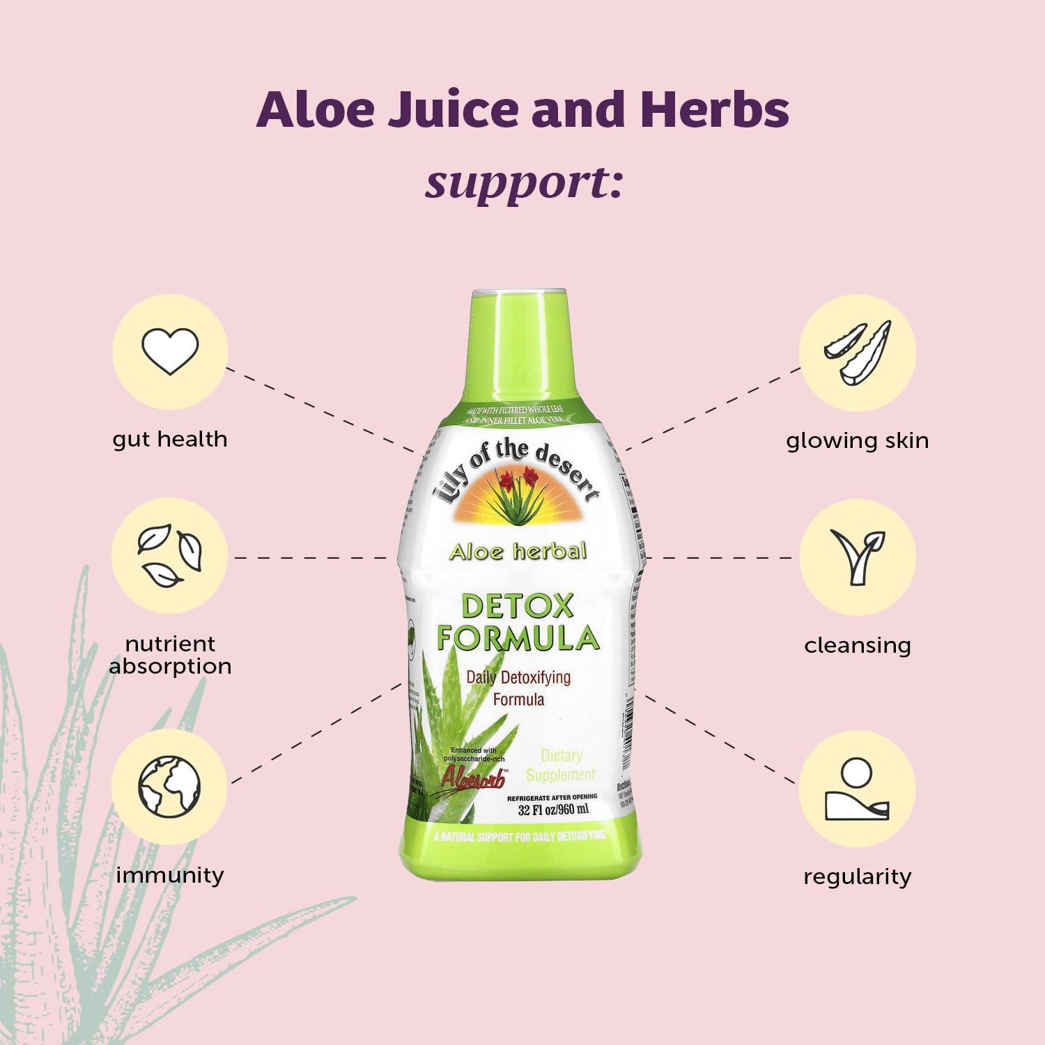 Pouring/spout close-up of Lily of the Desert Aloe Vera Herbal Detox Formula bottle