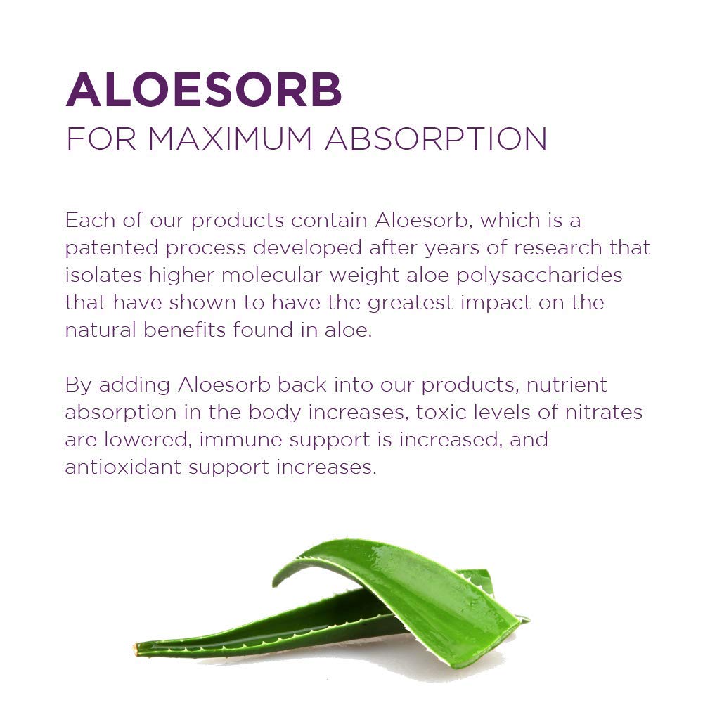 Concept image representing gut health with Aloe Vera Juice