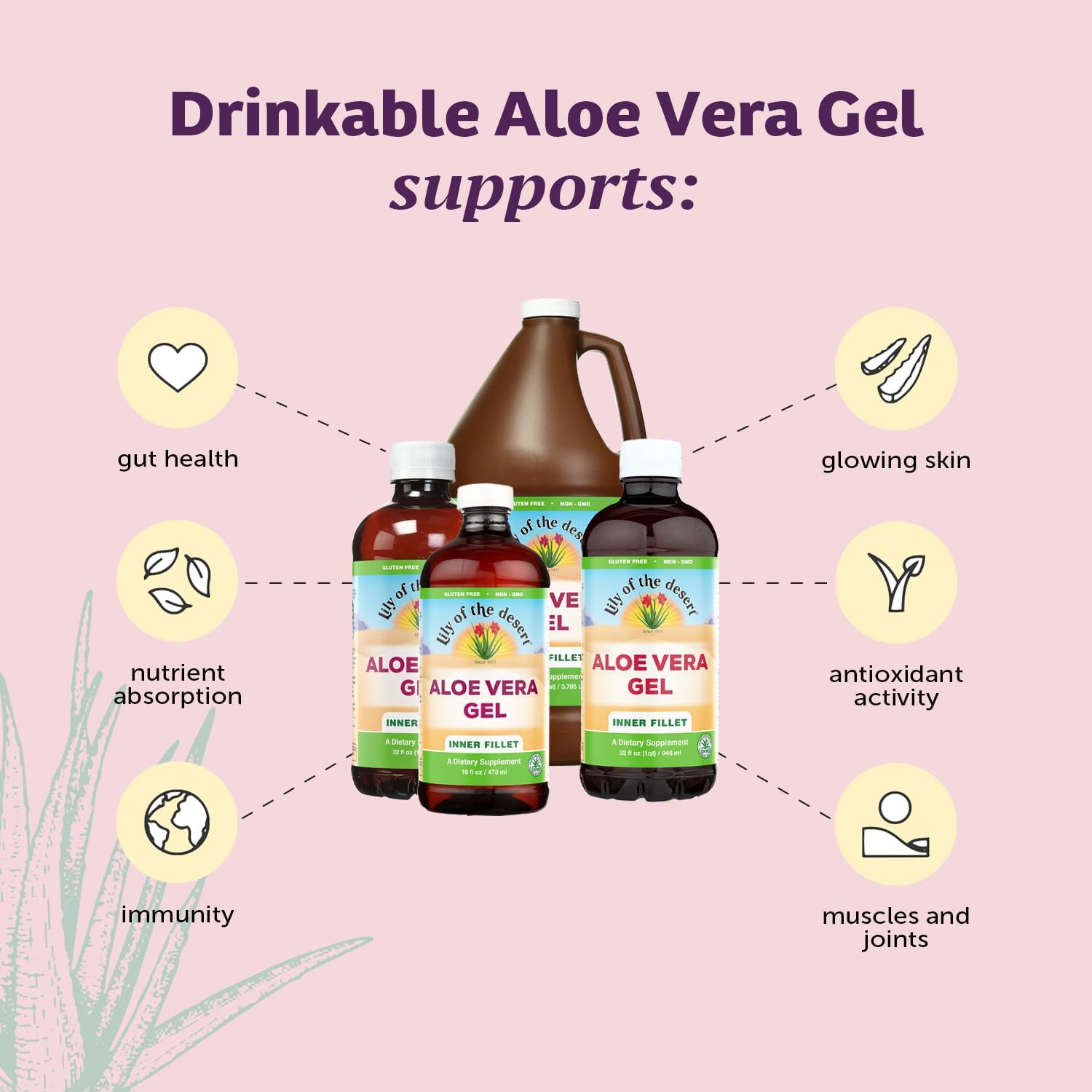 Inner Fillet Aloe Vera Juice bottle close-up