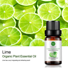Close-up of Lime Essential Oil bottle with label