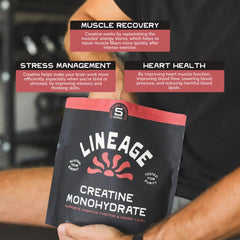 Third-party purity testing seal on creatine powder