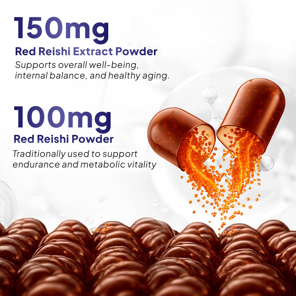 Lingzhi mushroom extract powder for Reishi capsules