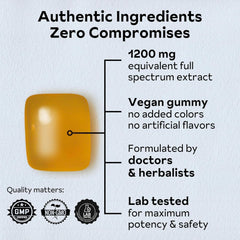 Lingzhi Reishi mushroom supplement bottle