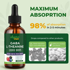 Lion’s mane, ashwagandha, and magnesium symbols representing the supplement