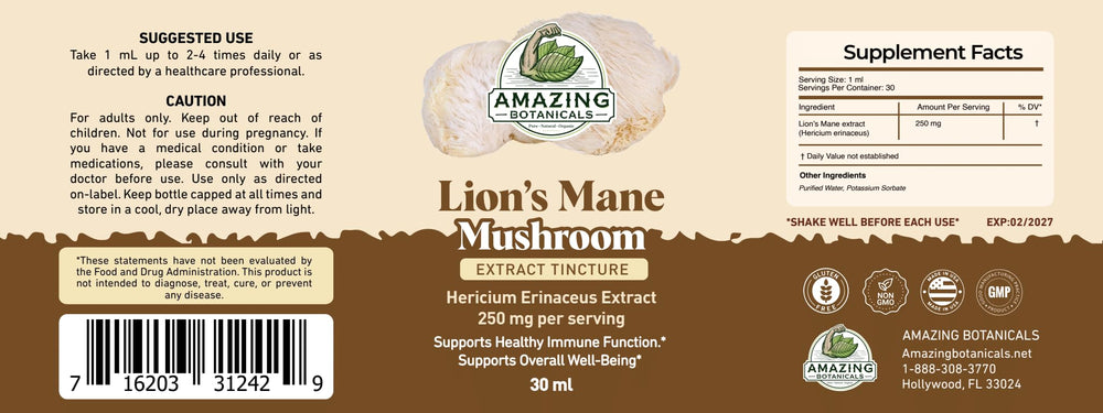 Illustration of dual extraction process for Lion’s Mane mushroom tincture