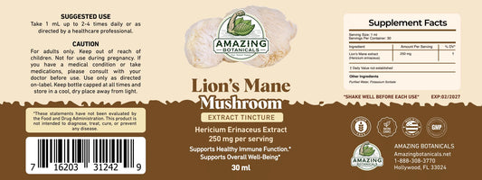 Illustration of dual extraction process for Lion’s Mane mushroom tincture