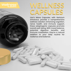 Lion's Mane capsules for nerve and immune health