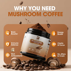 Close-up of Lion's Mane mushroom powder texture