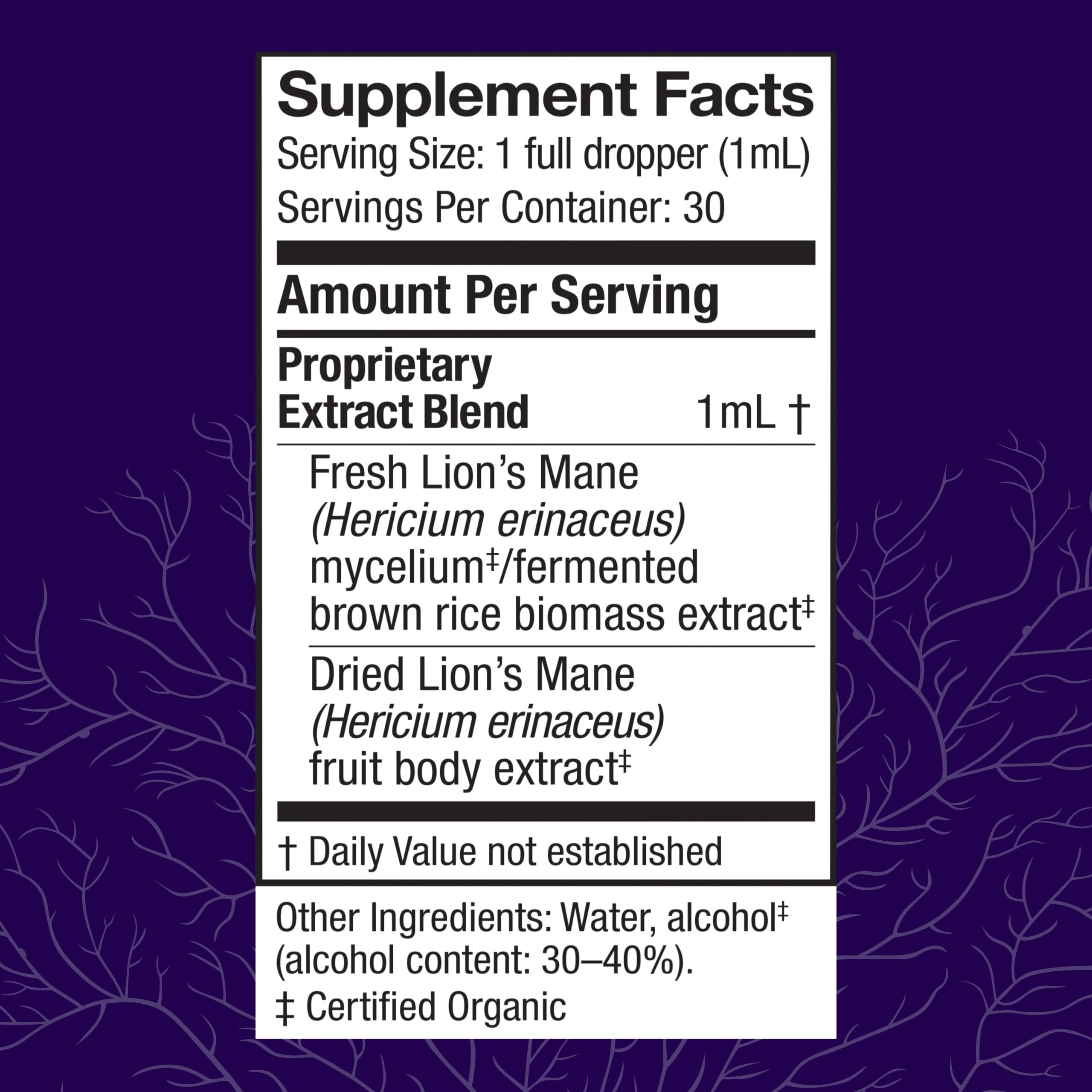 Lions Mane extract dropper bottle close-up