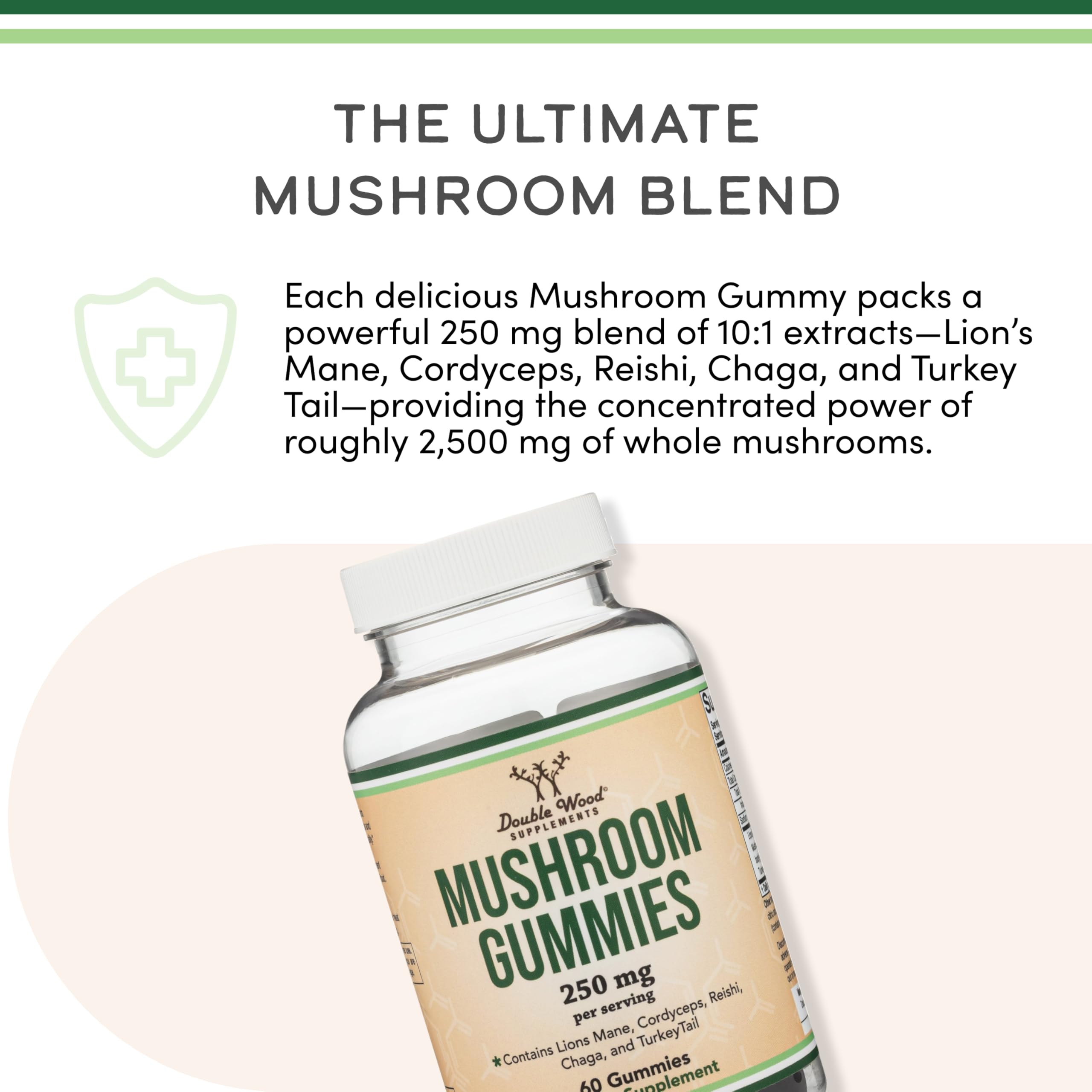 Lions Mane for memory and brain health