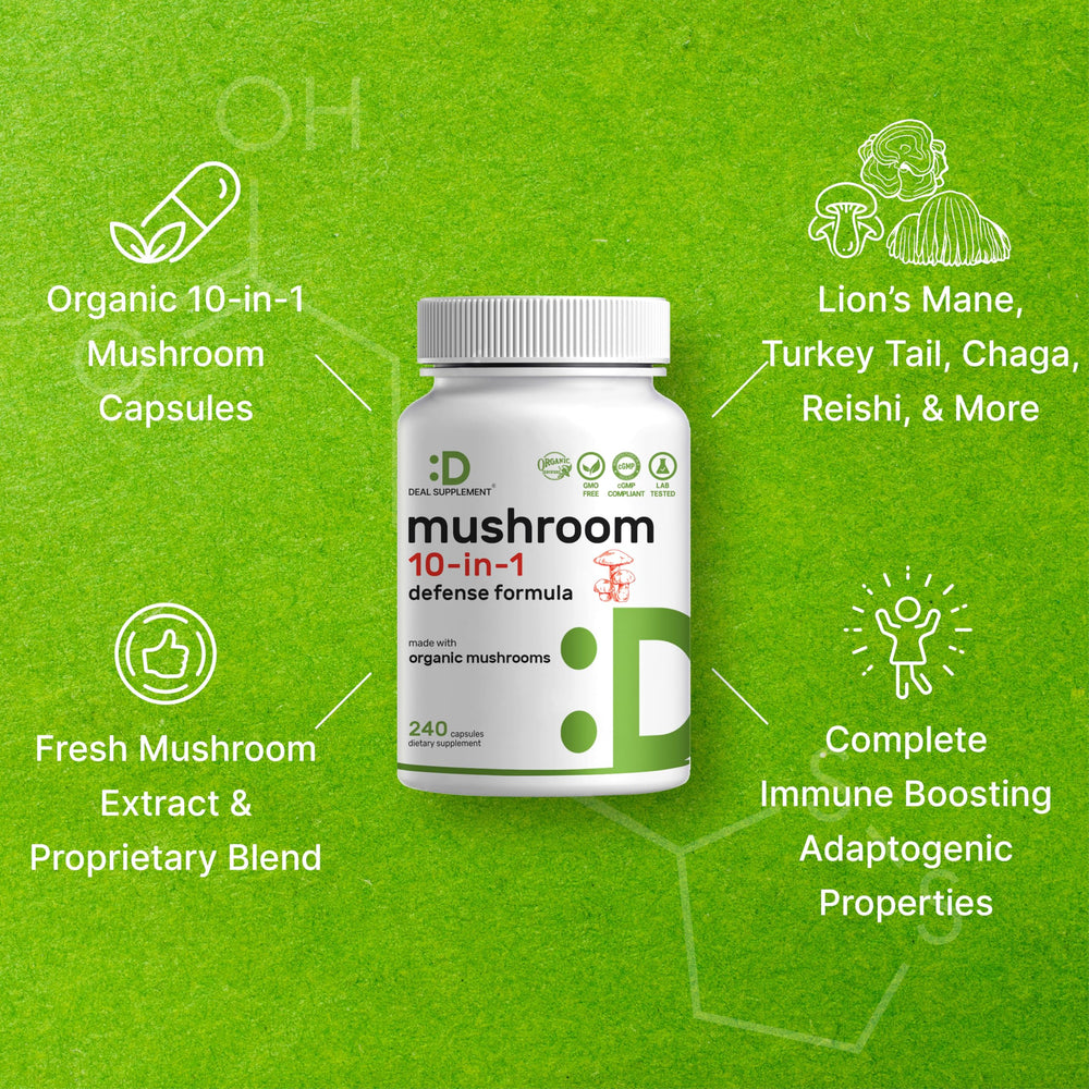 Illustration of key mushrooms: Lions Mane, Turkey Tail, Reishi and Cordyceps