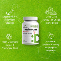 Illustration of key mushrooms: Lions Mane, Turkey Tail, Reishi and Cordyceps
