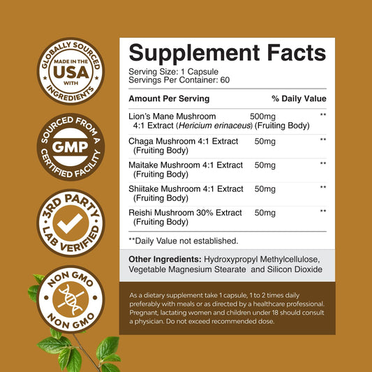 Brain focus and memory nootropic mushroom capsules
