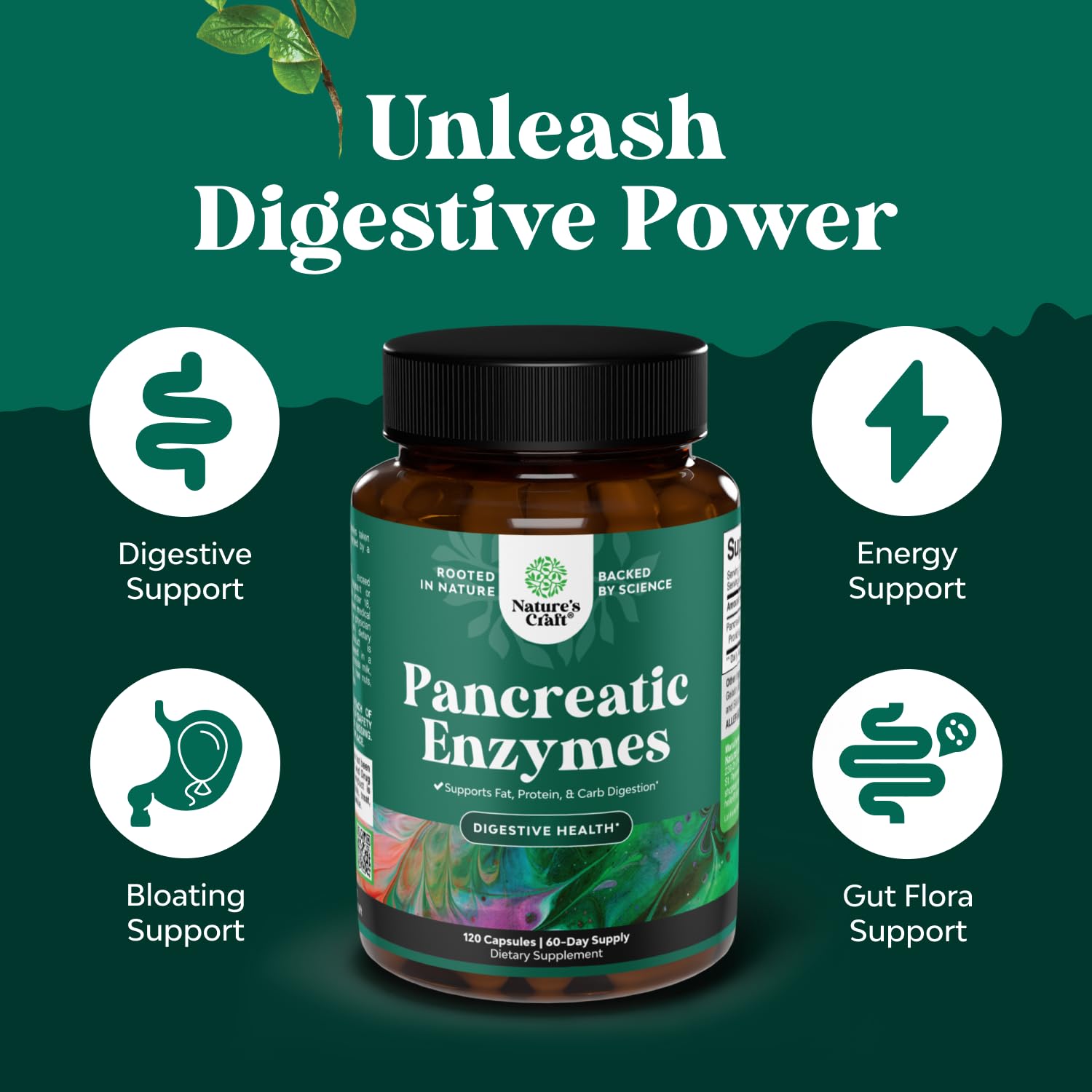 Lipase enzyme for fat digestion