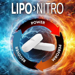 Nitro Metabolizer ingredients including green tea extract and L-theanine