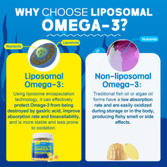 Liposomal algae omega-3 gummies technology illustration