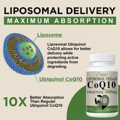 Vegan-friendly Liposomal CoQ10 800mg softgels in blister pack