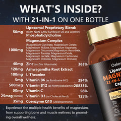 Liposomal delivery system improving magnesium bioavailability