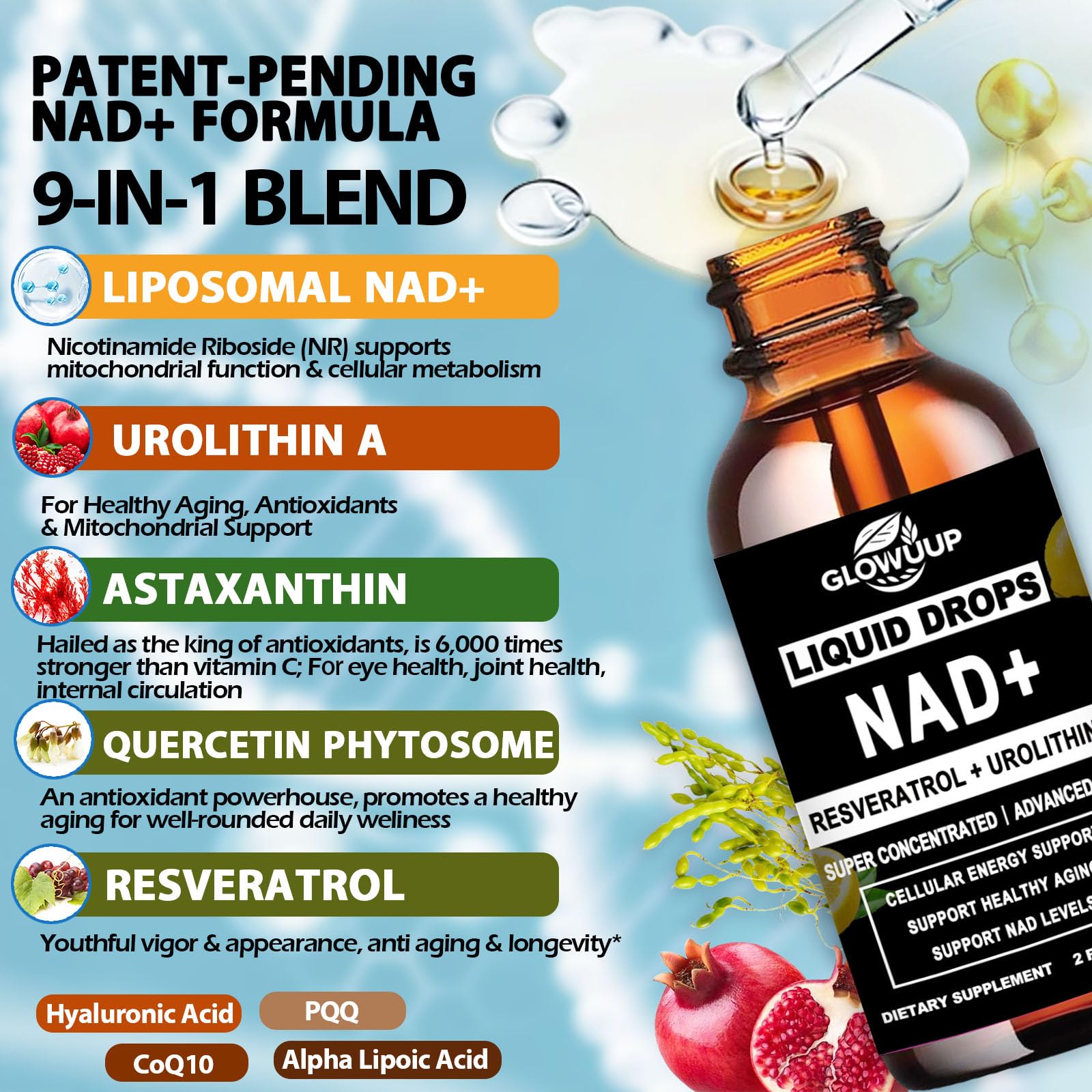 Liposomal delivery system for NAD+