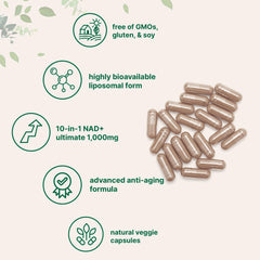 Liposomal delivery technology boosting NAD+ absorption