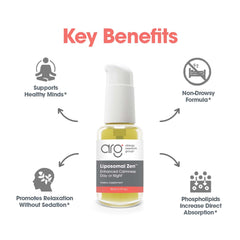 Illustration of the liposomal delivery system