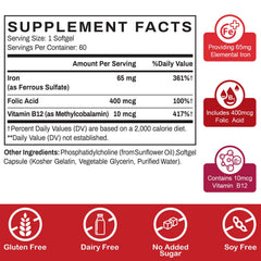 Graphic showing iron absorption improvement with liposomal technology