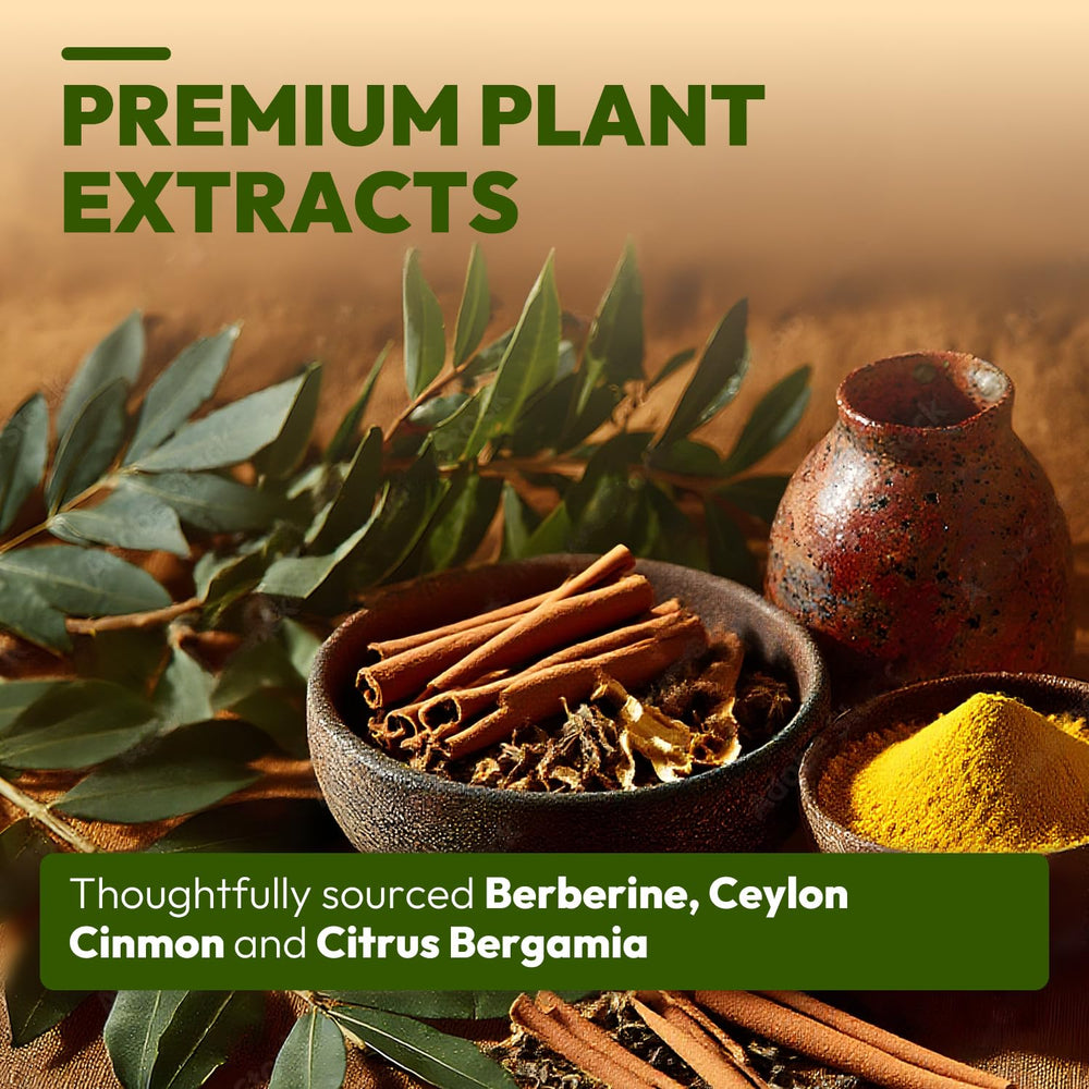 Close-up of berberine, bergamot, and cinnamon ingredients