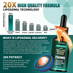 Product packaging box for Liposomal Lymph-Liver-Lung Cleanse Drops