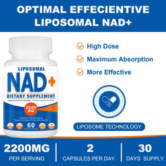 NAD+ supplement demonstrating immune system support
