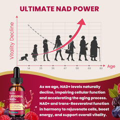 Liposomal delivery concept illustrating enhanced absorption