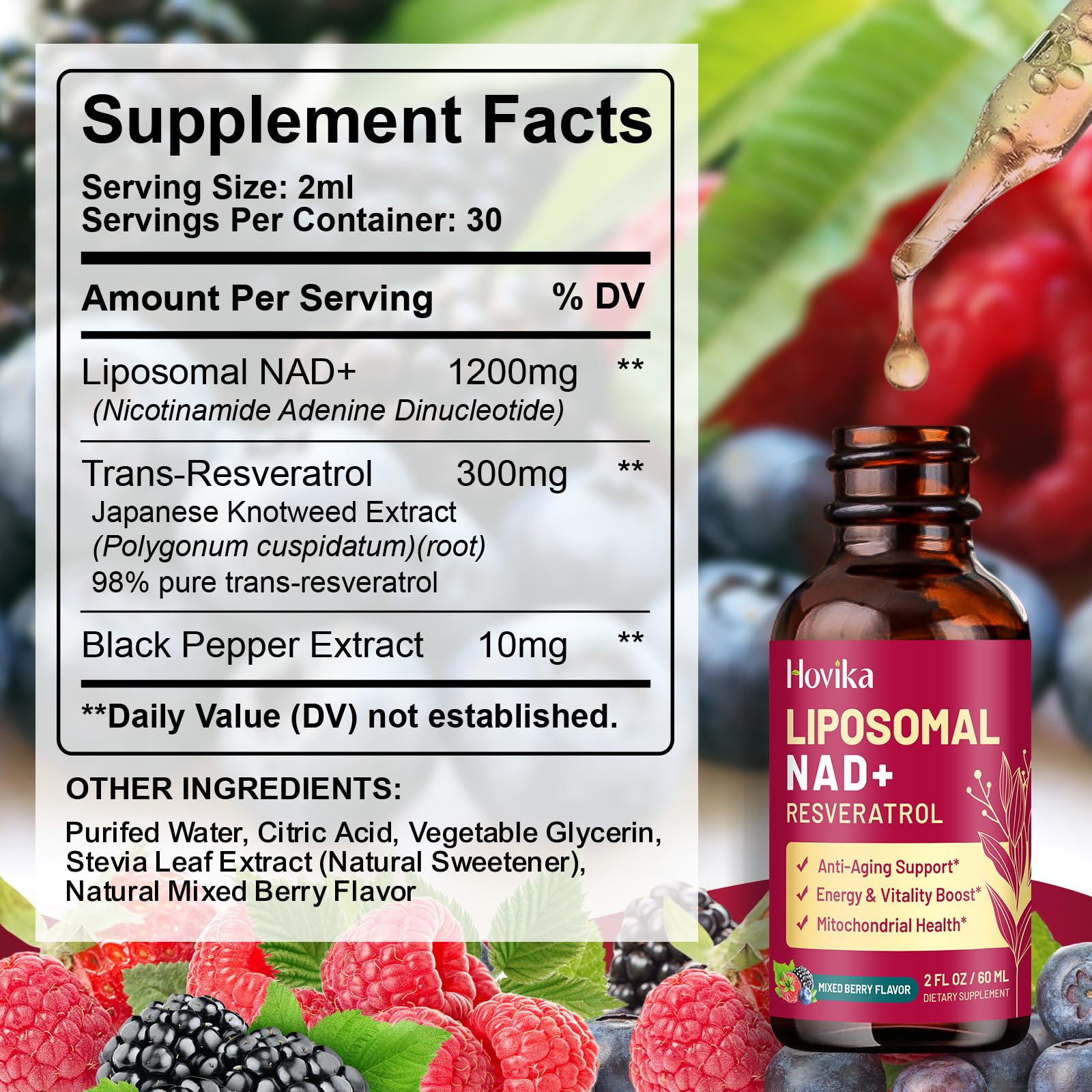 Healthy aging and energy concept with brain health imagery