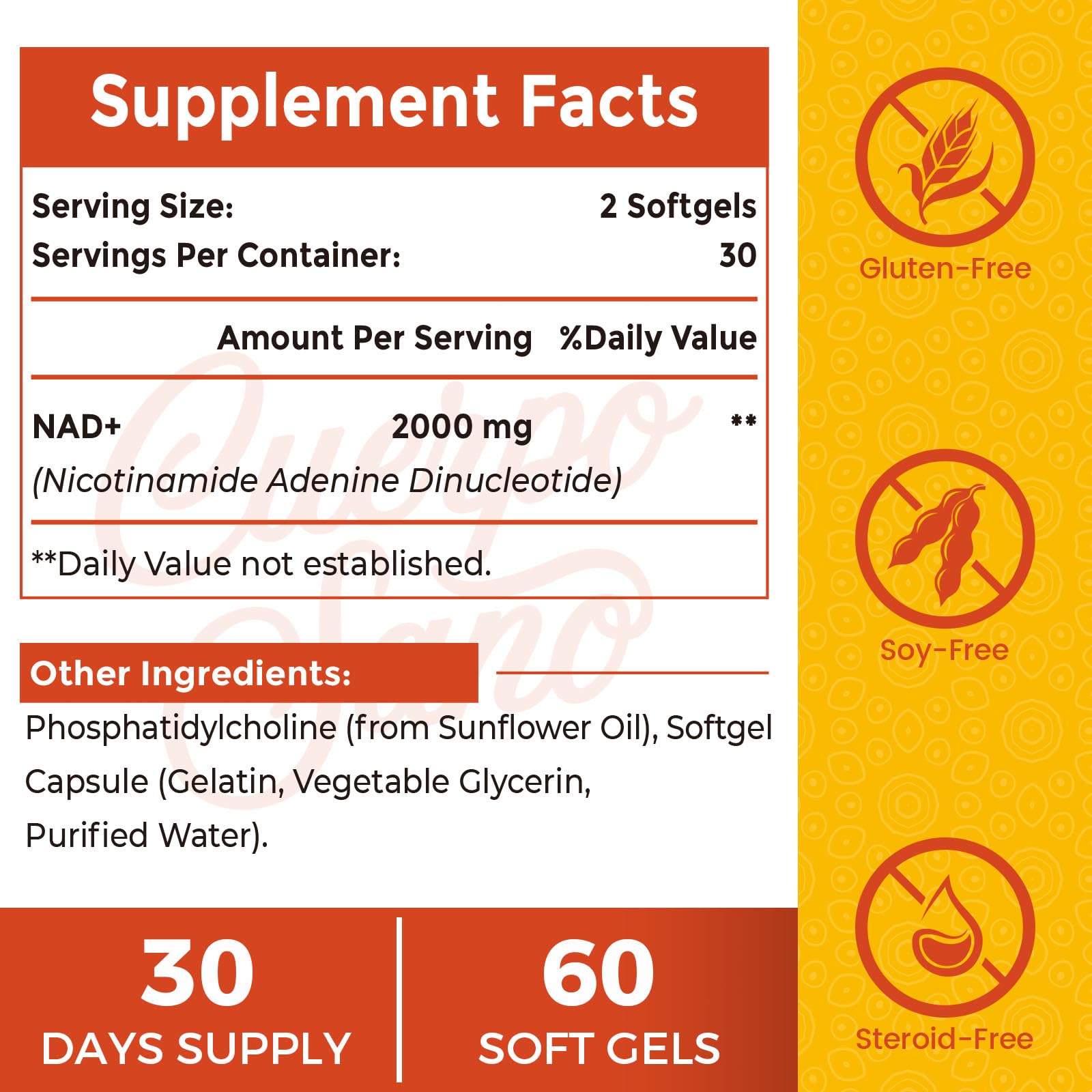 Liposomal NAD+ absorption technology graphic