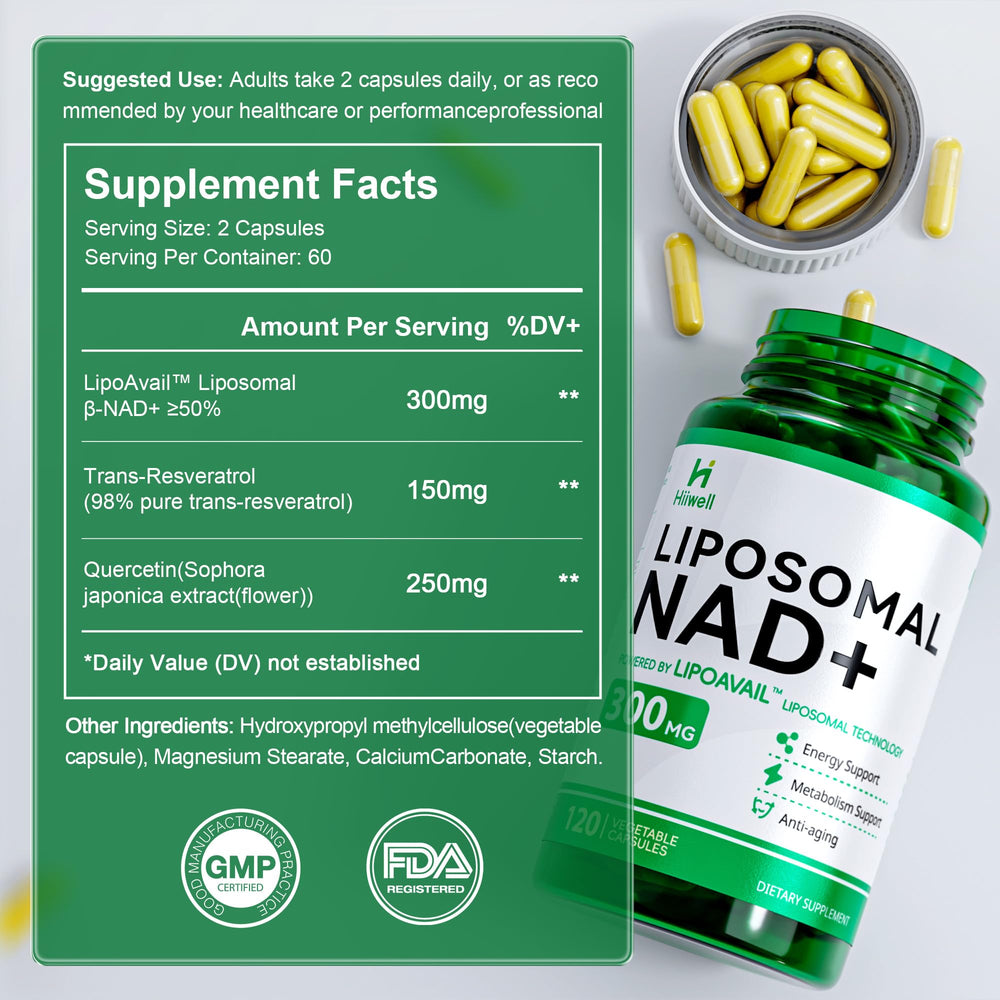 Graphic illustrating liposomal NAD+ absorption into cells