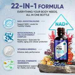Bottle featuring resveratrol, CoQ10, and urolithin A