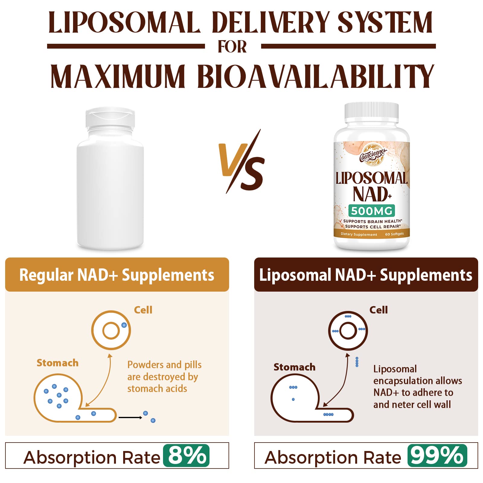 Product label for Liposomal NAD+ 500 mg NAD+ supplement