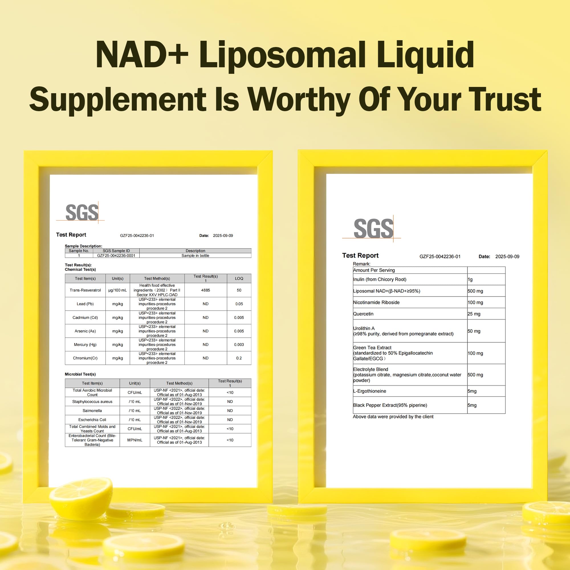 Diagram showing liposomal uptake and enhanced absorption