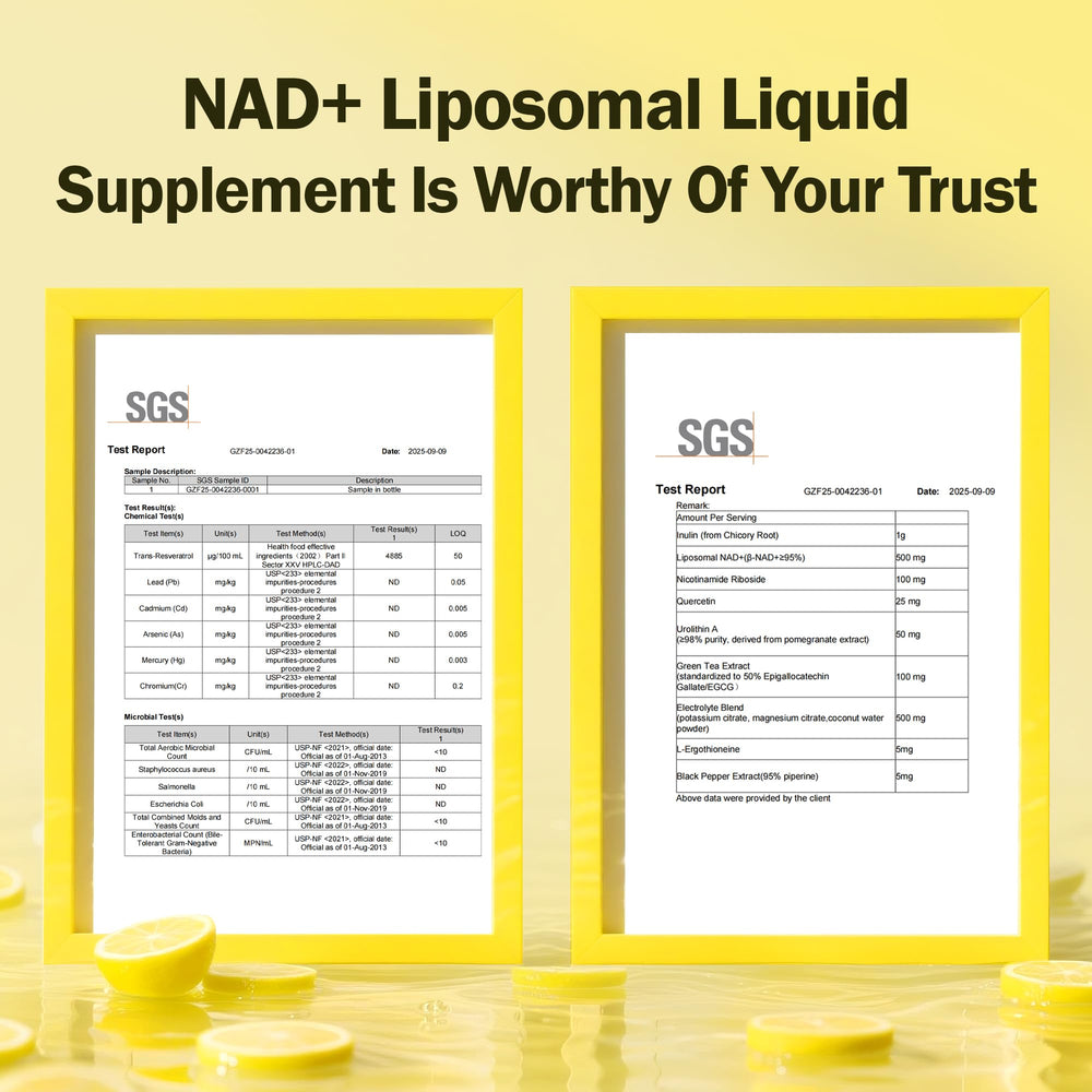 Diagram showing liposomal uptake and enhanced absorption
