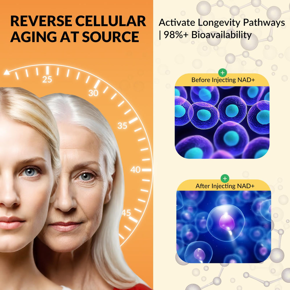 Graphic illustrating improved bioavailability of NAD+ liquid drops