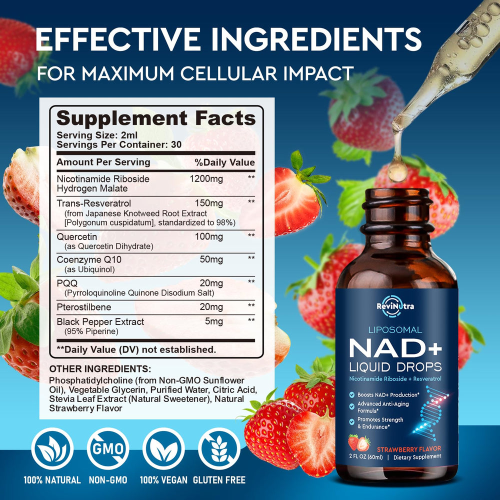 Brain-energy concept illustrating NAD+-driven cellular support