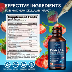 Brain-energy concept illustrating NAD+-driven cellular support