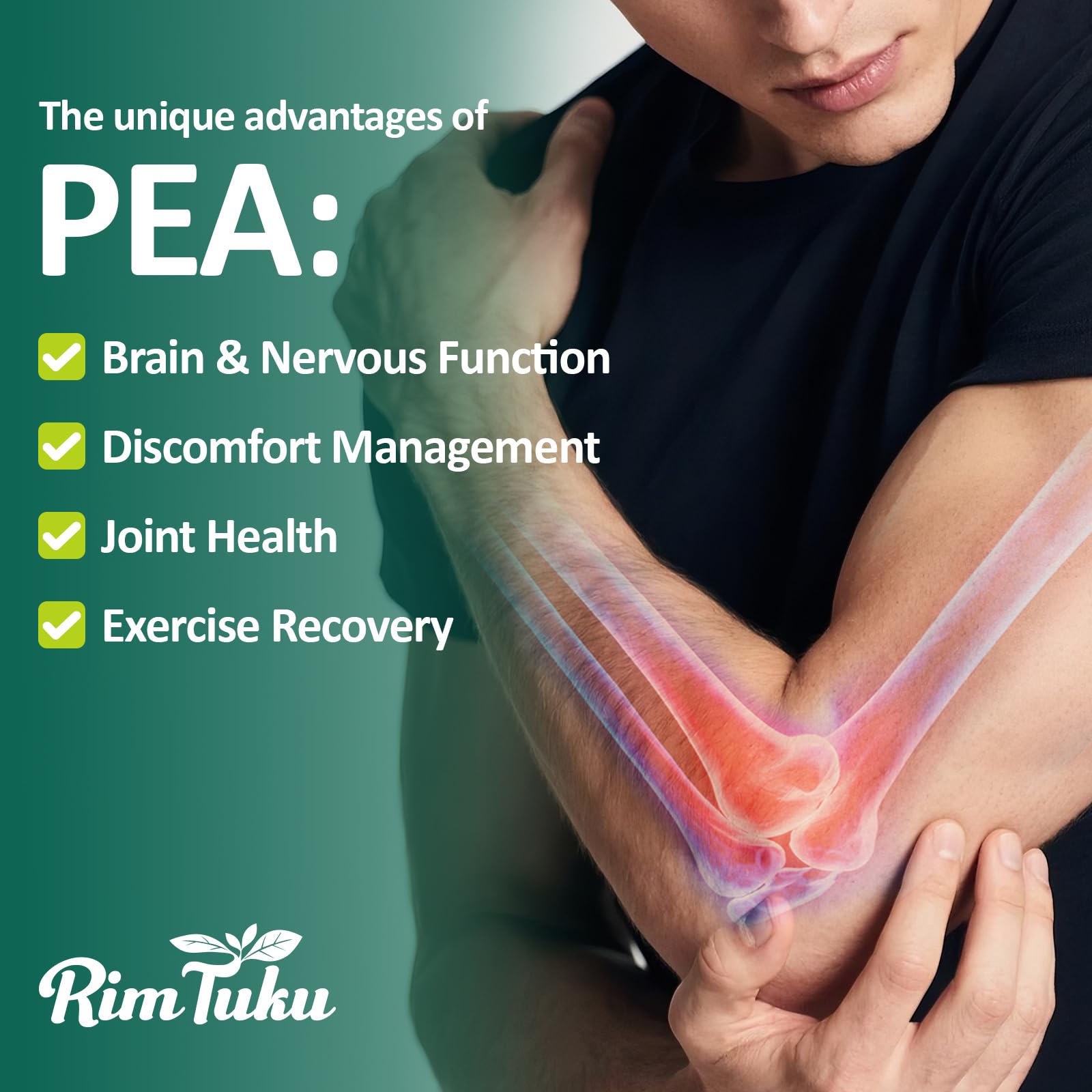 60 capsules bottle of Liposomal PEA supplement