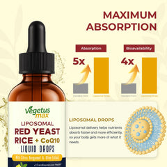 Product label and CoQ10 liposomal formula illustration