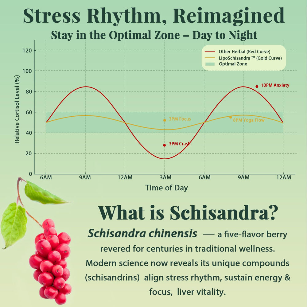Schisandra berries with supplement capsules