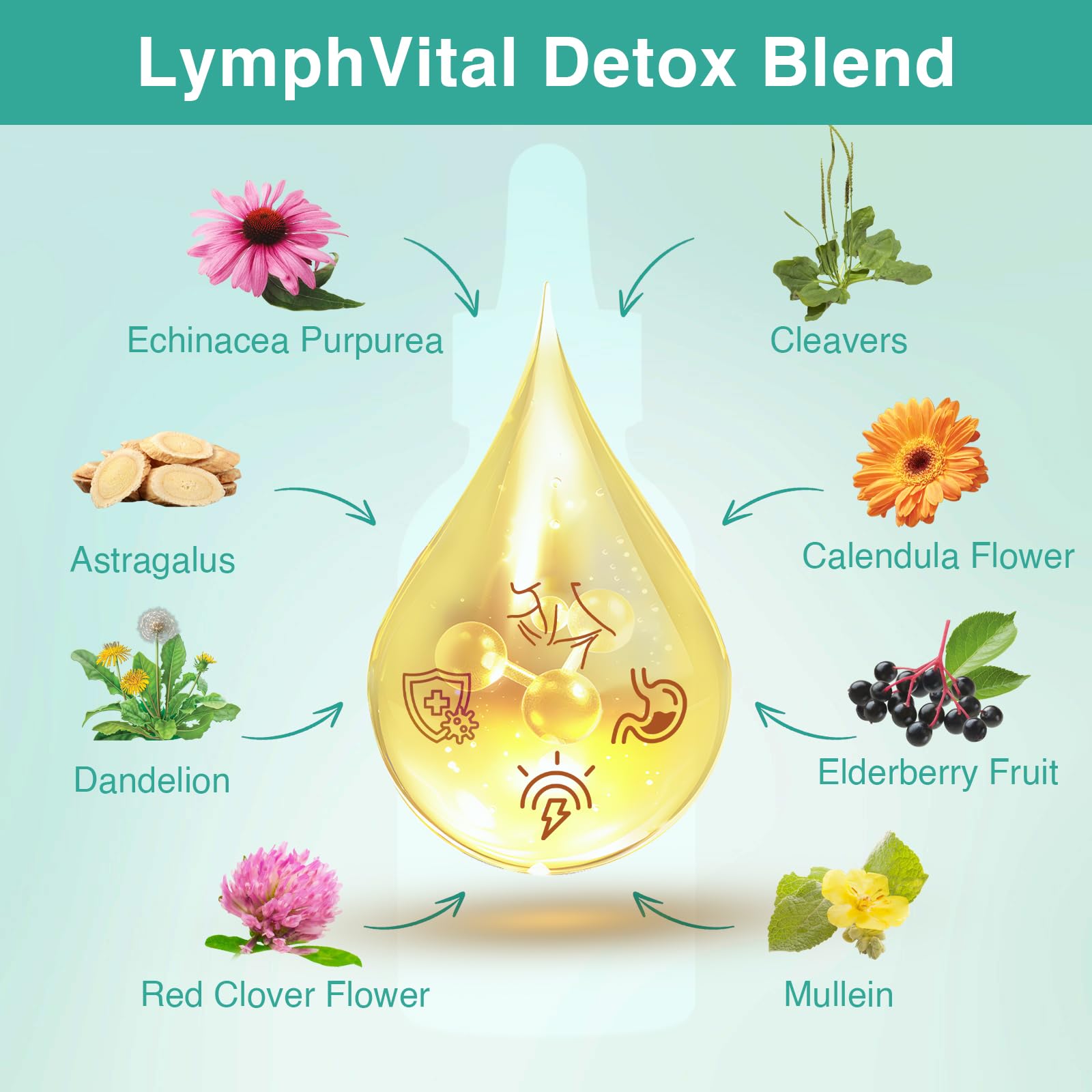Graphic illustrating liposomal delivery technology