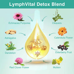 Graphic illustrating liposomal delivery technology